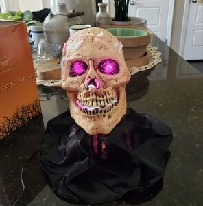 Lighted Halloween Skull Prop‎